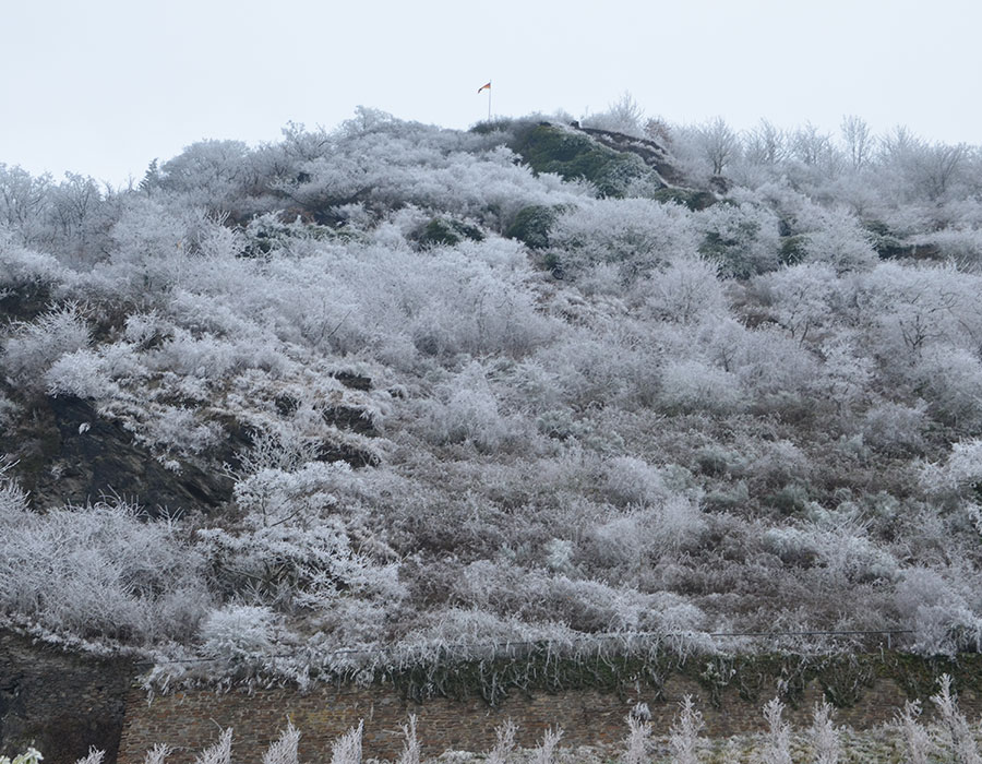 Winter
