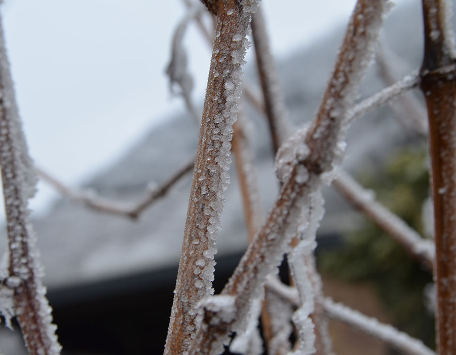 Winter